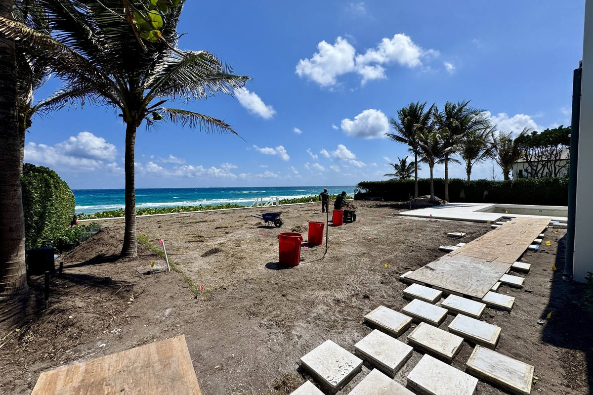 Beachfront estate soil preparation with palm trees