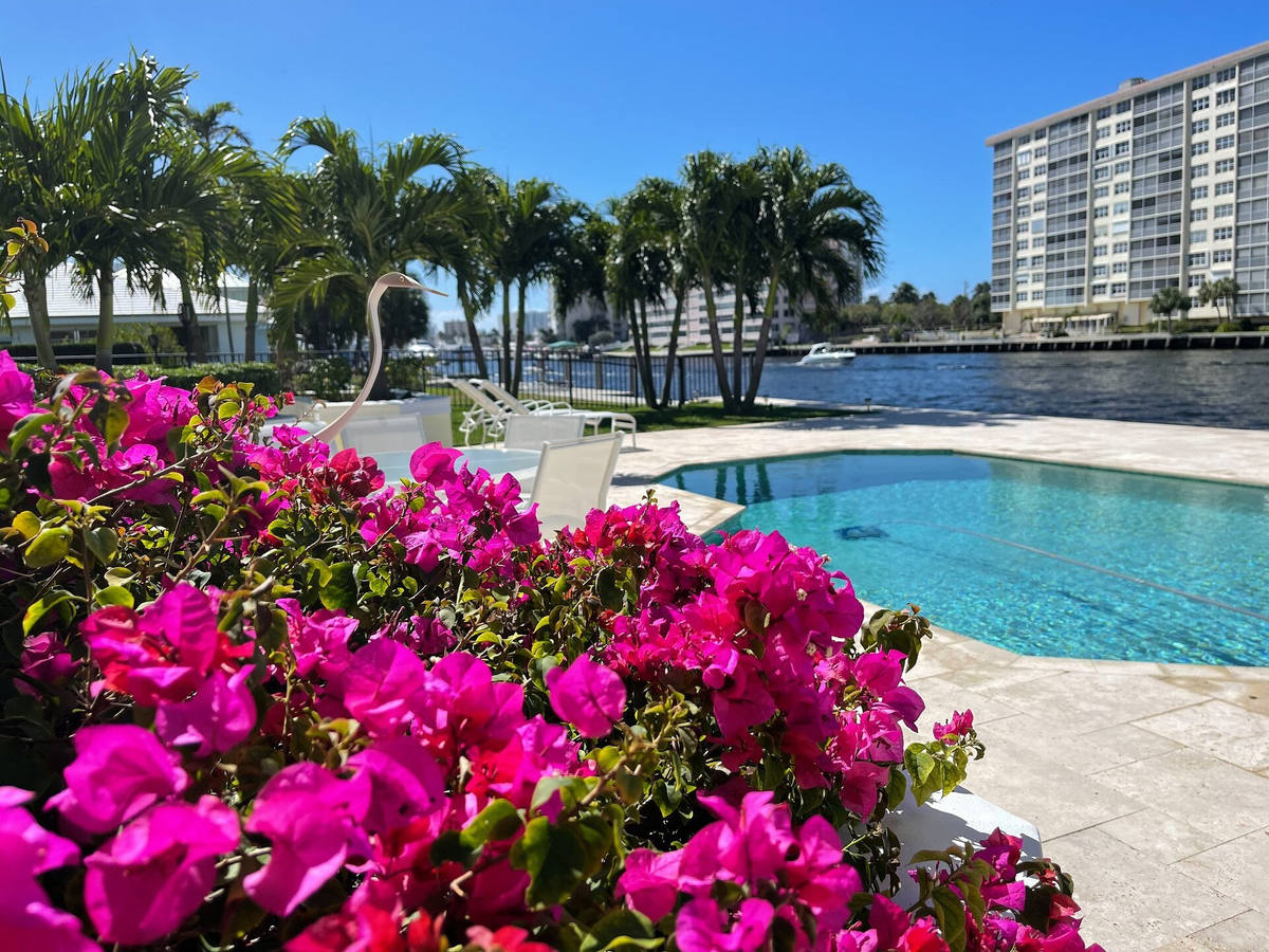 Bougainvillea and tropical waterfront landscape in Delray Beach by Florida Boys Lawn & Landscape