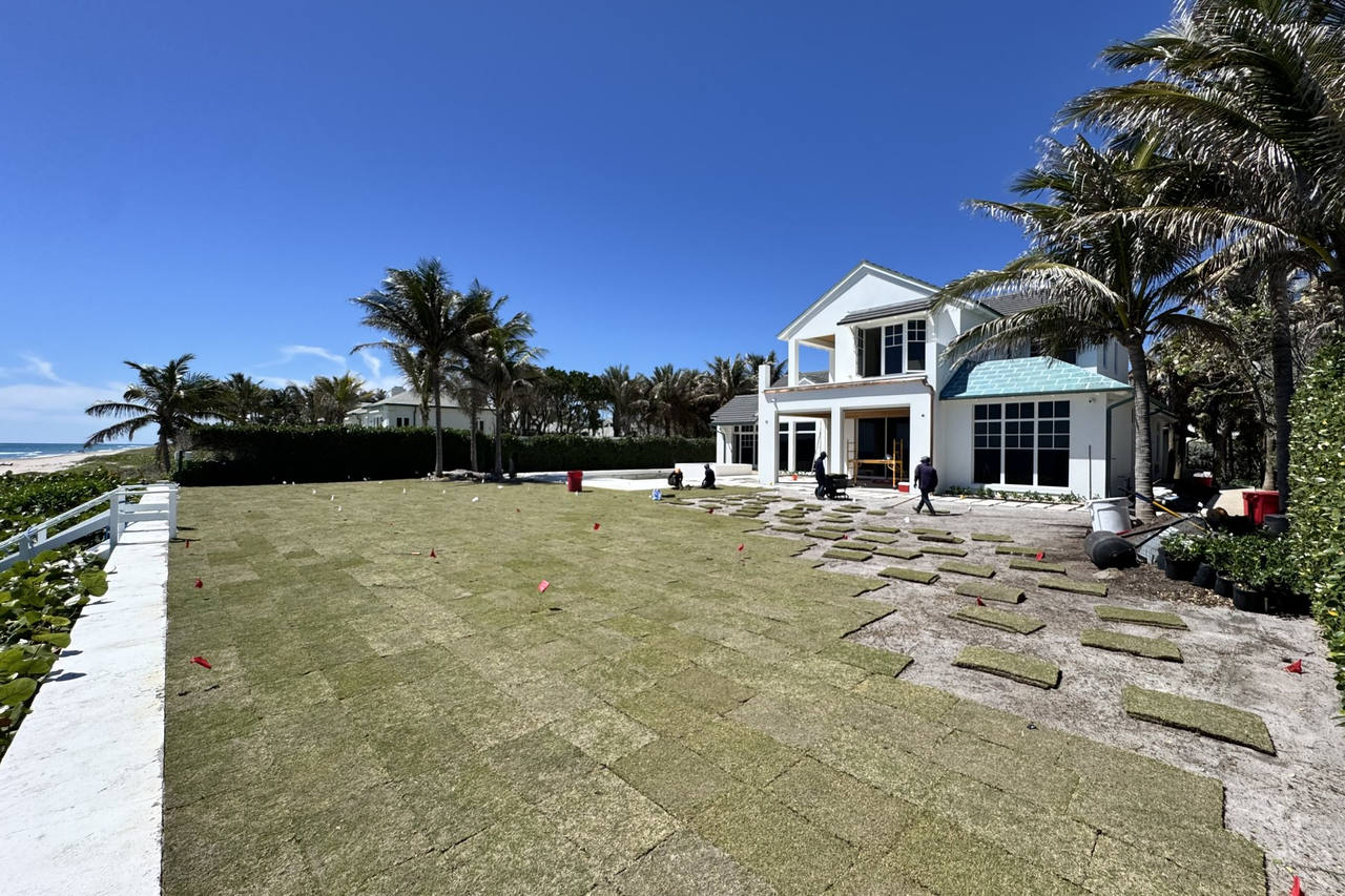 Completed paspalum lawn at beachfront estate