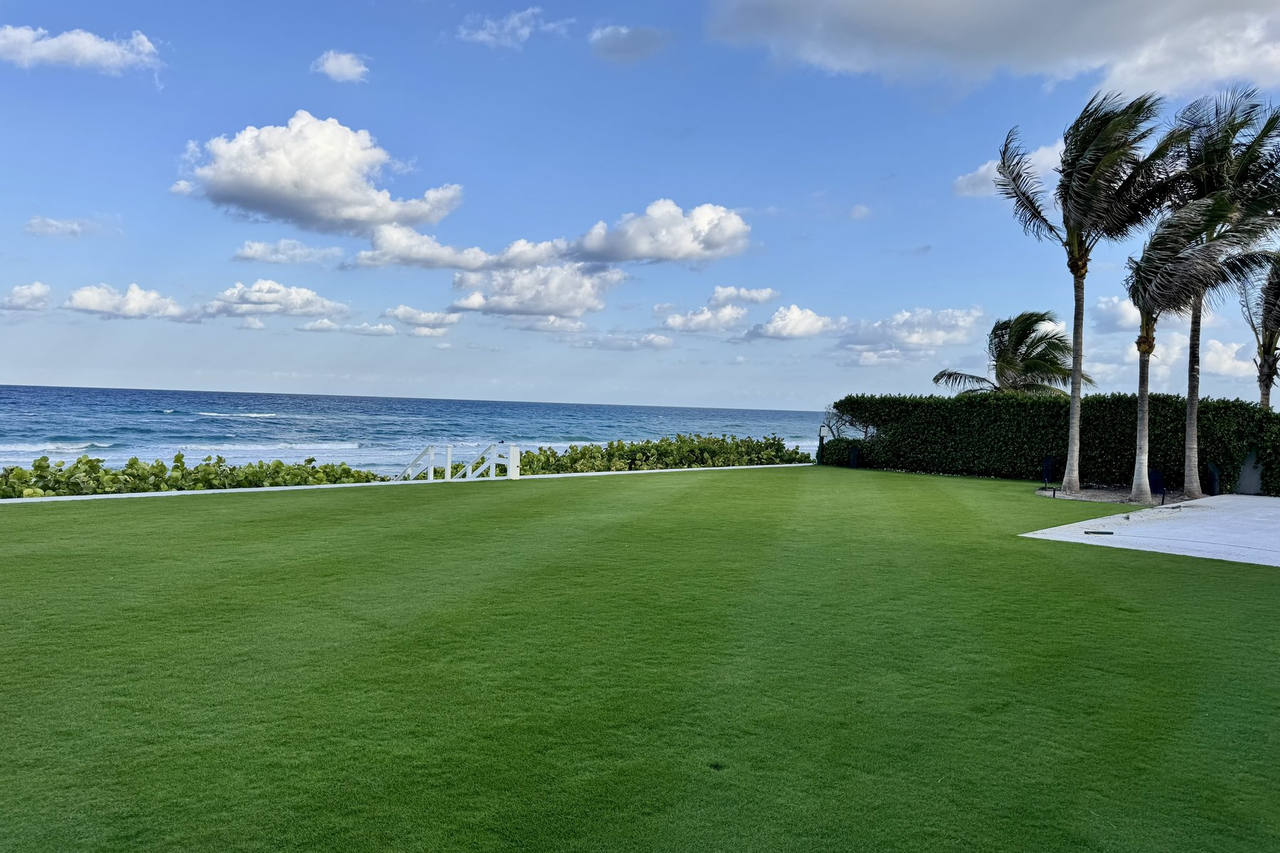 Completed sod install with hedge and palms