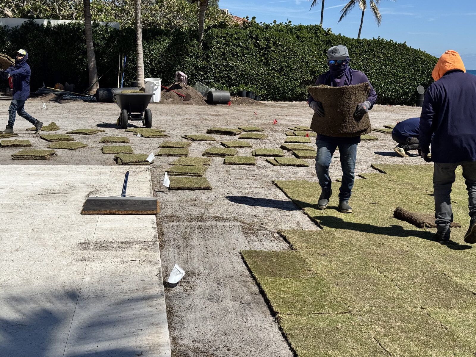 Florida Boys crew carrying and laying golf-course-quality sod pieces at a South Florida oceanfront property