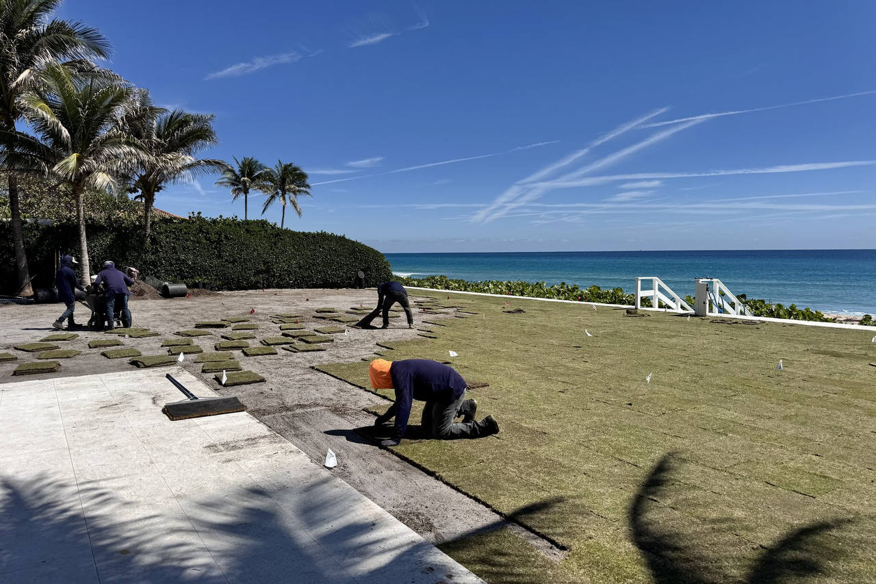 Crew installing paspalum sod with ocean view