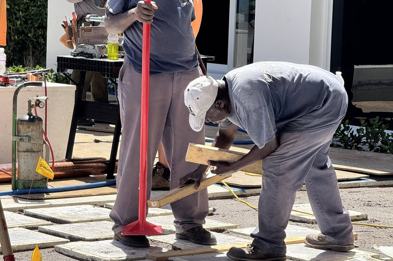 Crew leveling pavers during sod prep