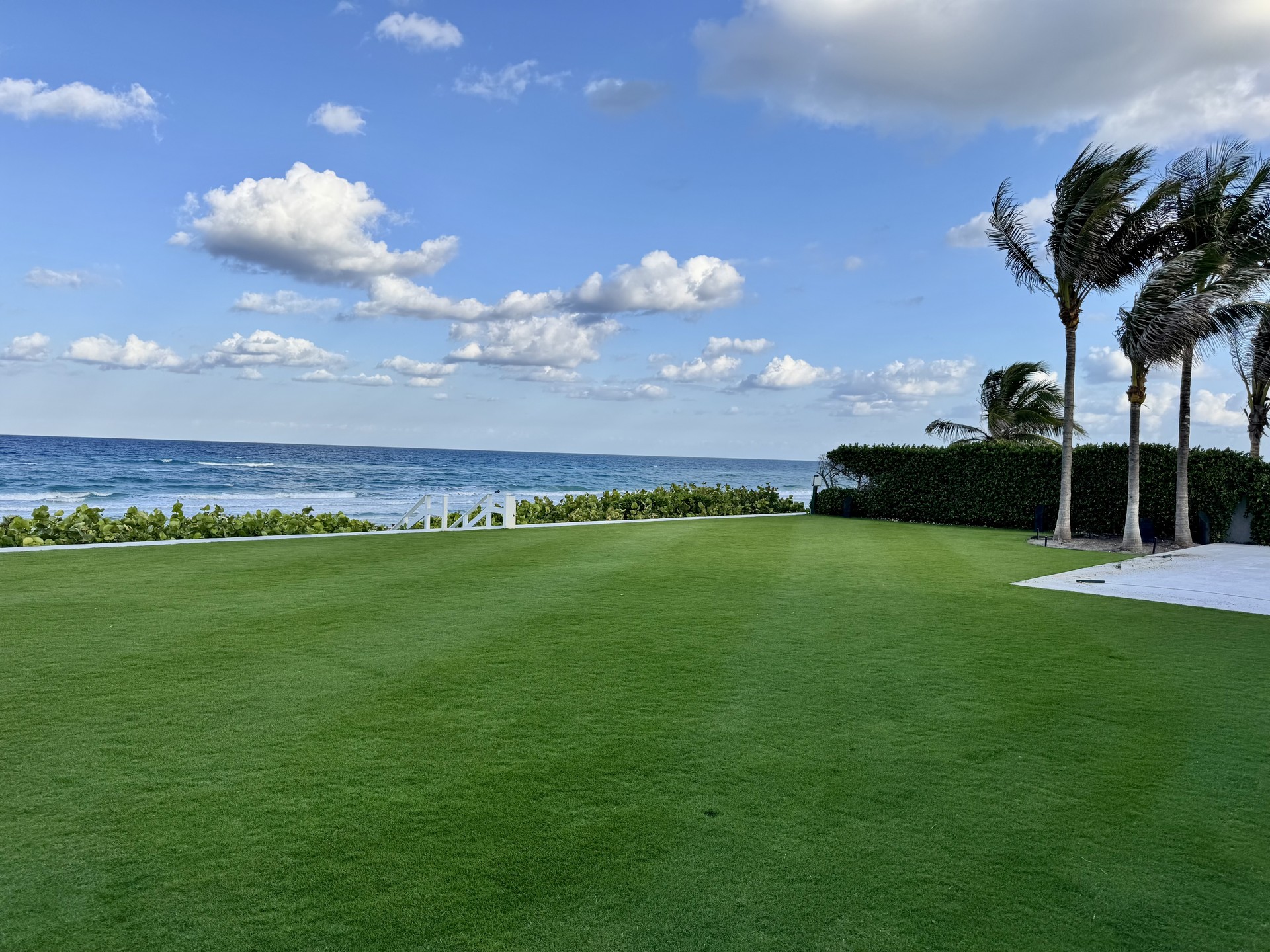 First double cut with a fresh sharp reel mower at day 15 after Paspalum sod installation in South Florida