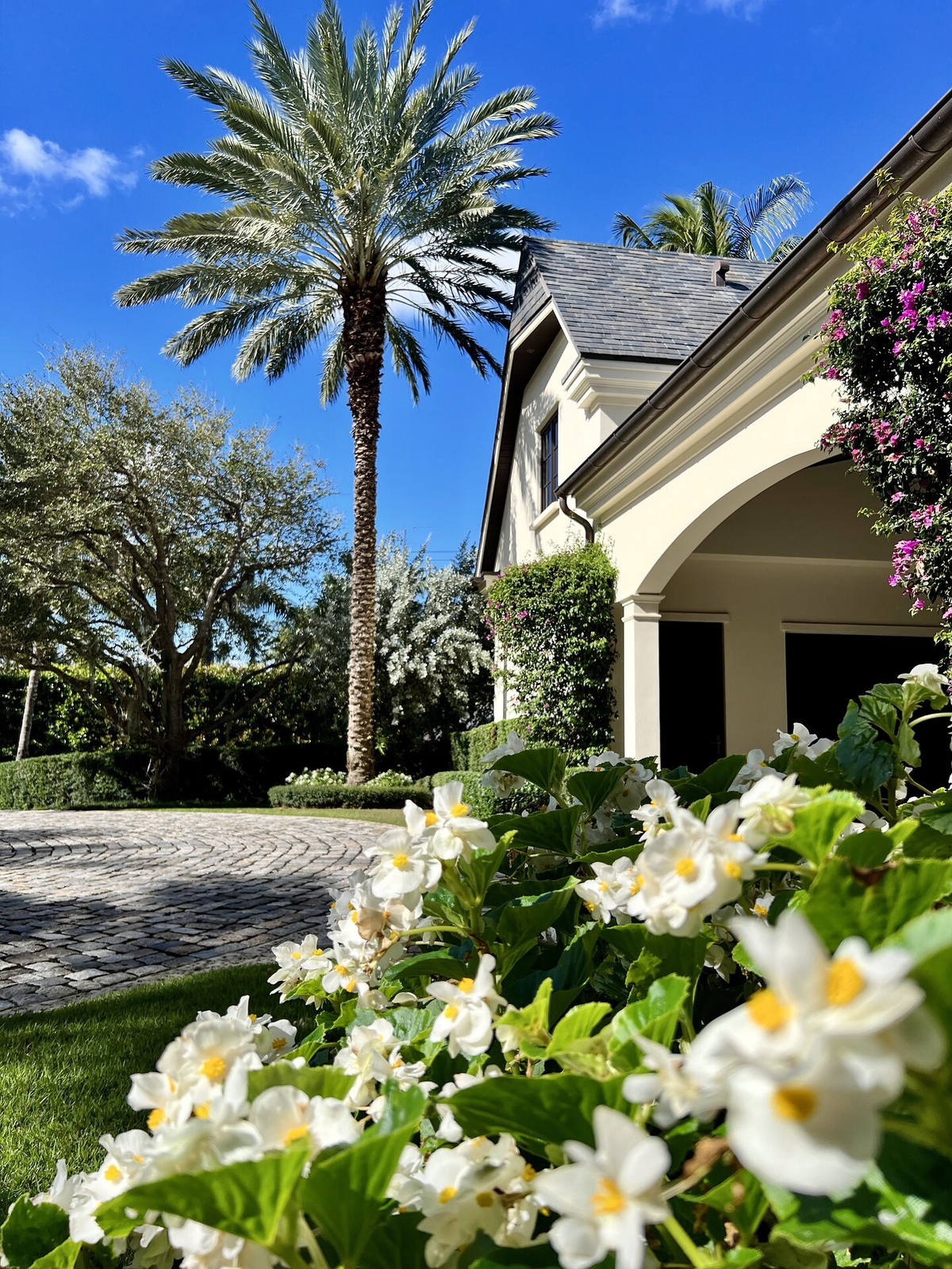 Flowering border and palm at an estate entry maintained by Florida Boys