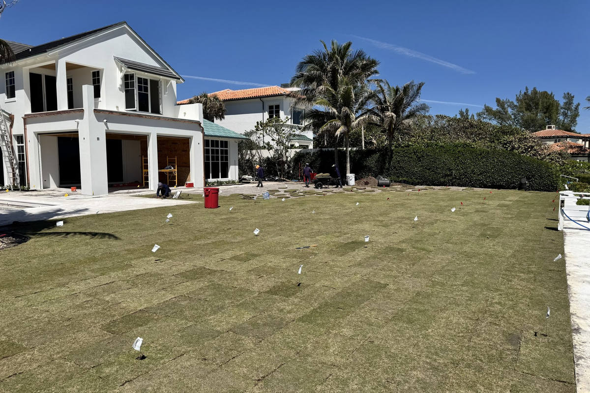 Fresh sod lawn at luxury home