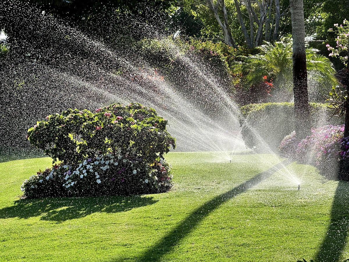 Irrigation quality control check sprinklers running full coverage across manicured South Florida lawn