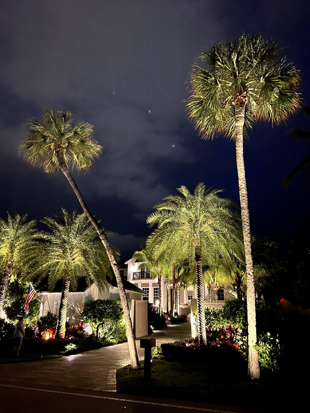 Palm tree uplighting in front yard at South Florida home