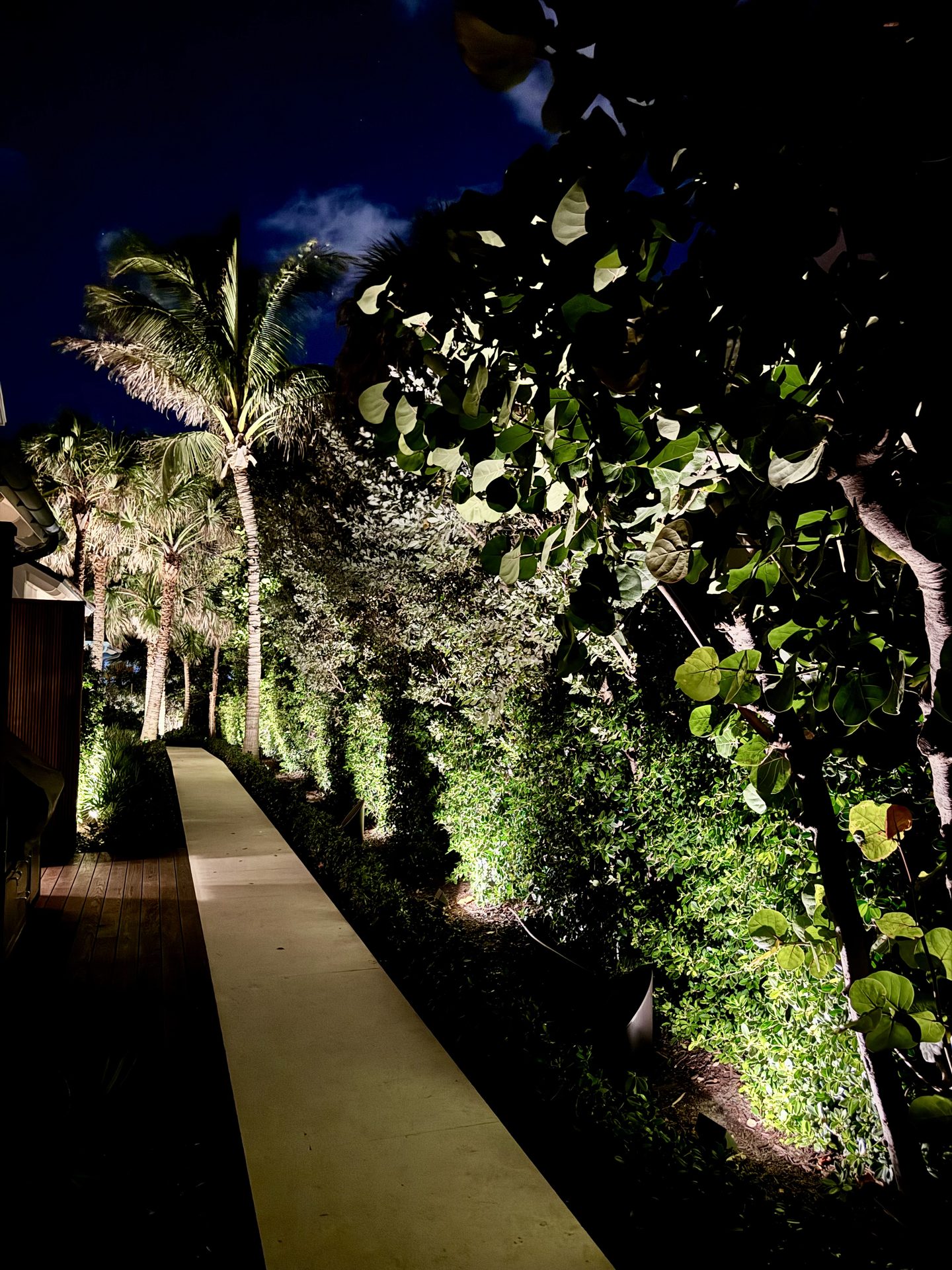 Low-voltage walkway path lighting with tropical hedges in South Florida