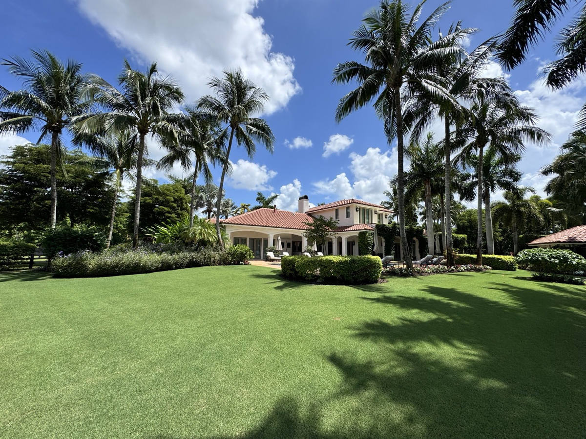 Luxury Mediterranean estate with palm trees — Florida Boys landscape design and installation