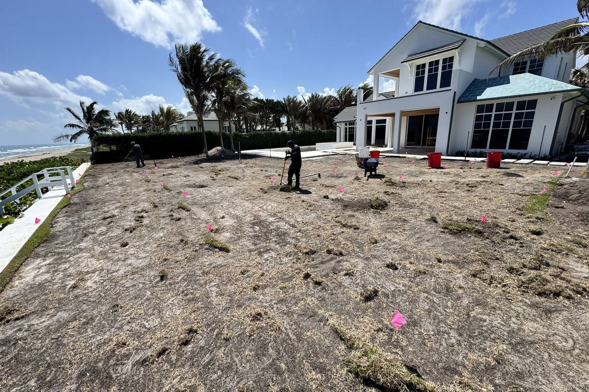 Oceanfront home yard grading for sod preparation