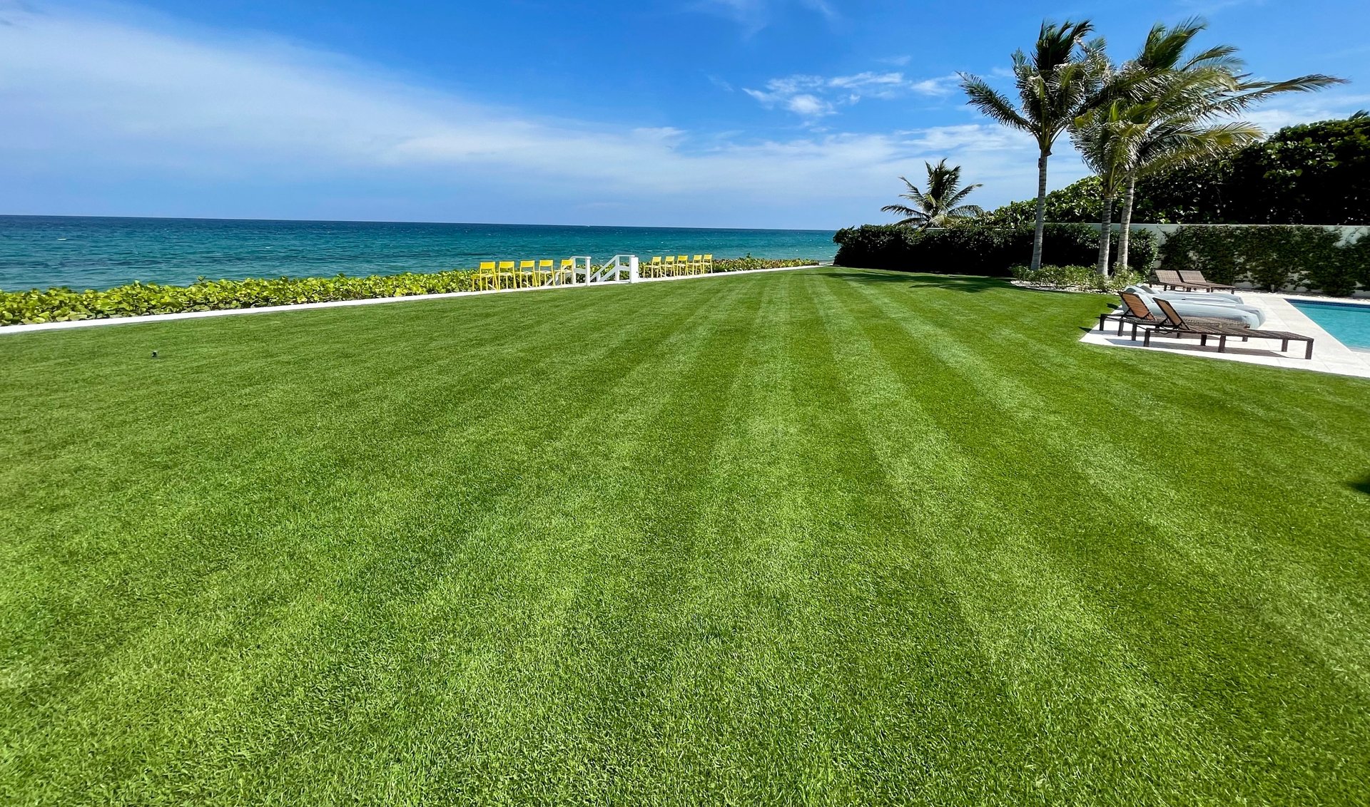 Reel mowing for premium turf grass in South Florida