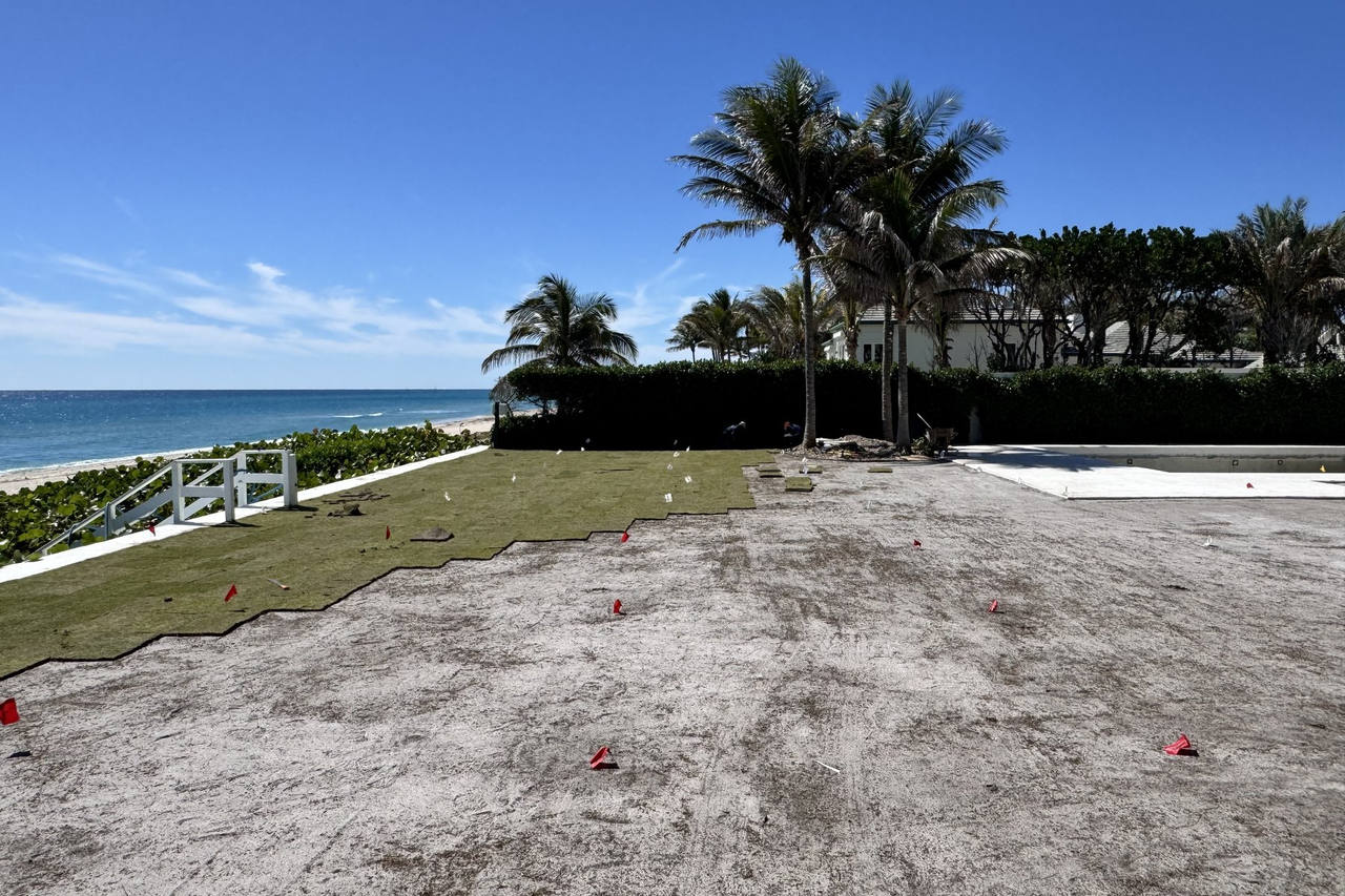 Paspalum sod install progress on oceanfront lawn