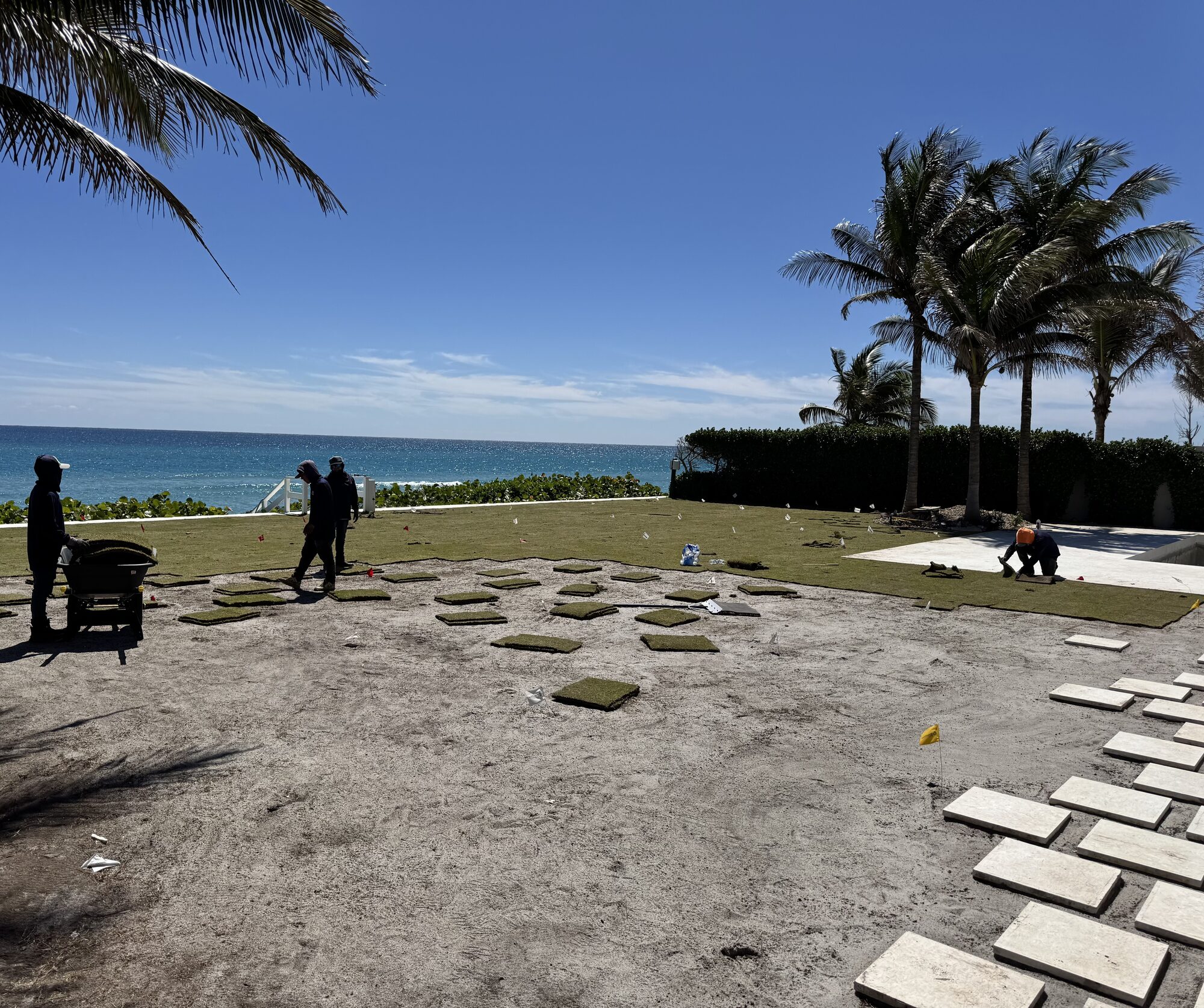 Platinum TE Paspalum sod installation on oceanfront South Florida estate