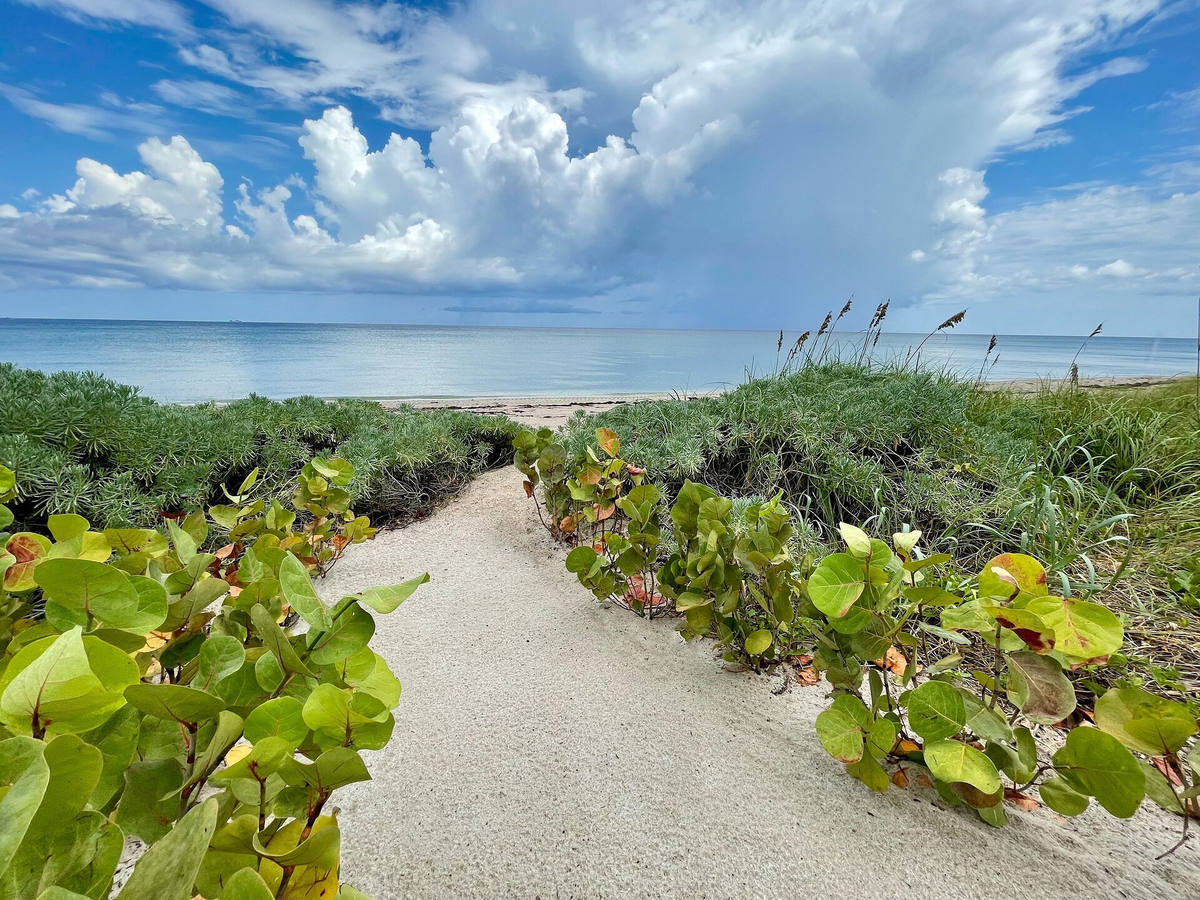 Private beach access path lined with sea grape on a South Florida oceanfront property