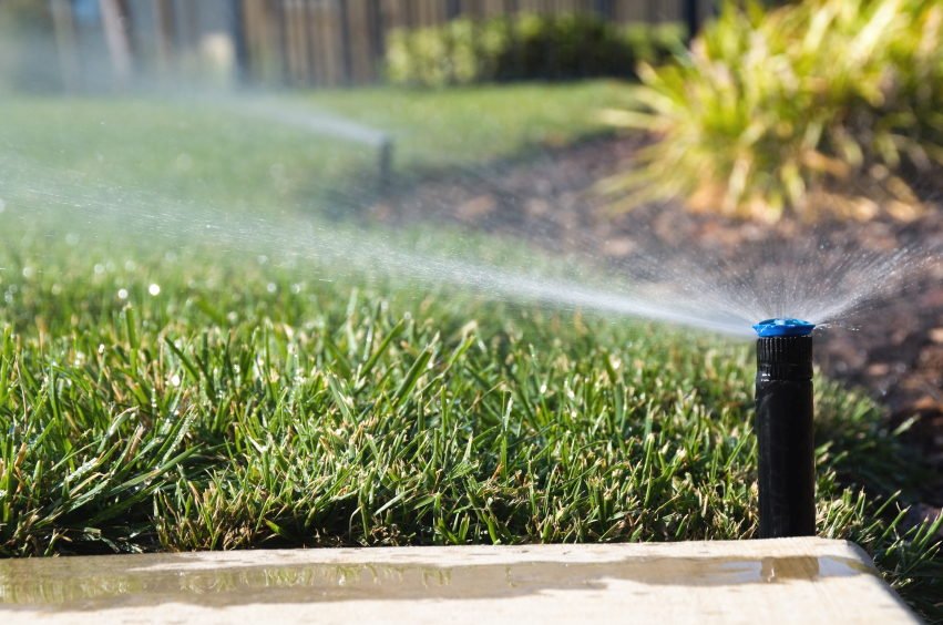 Close-up sprinkler head irrigating a South Florida lawn