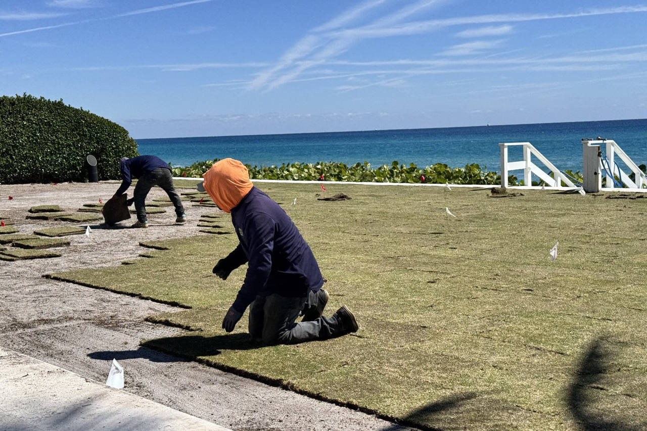 Two man crew laying sod at beachfront property