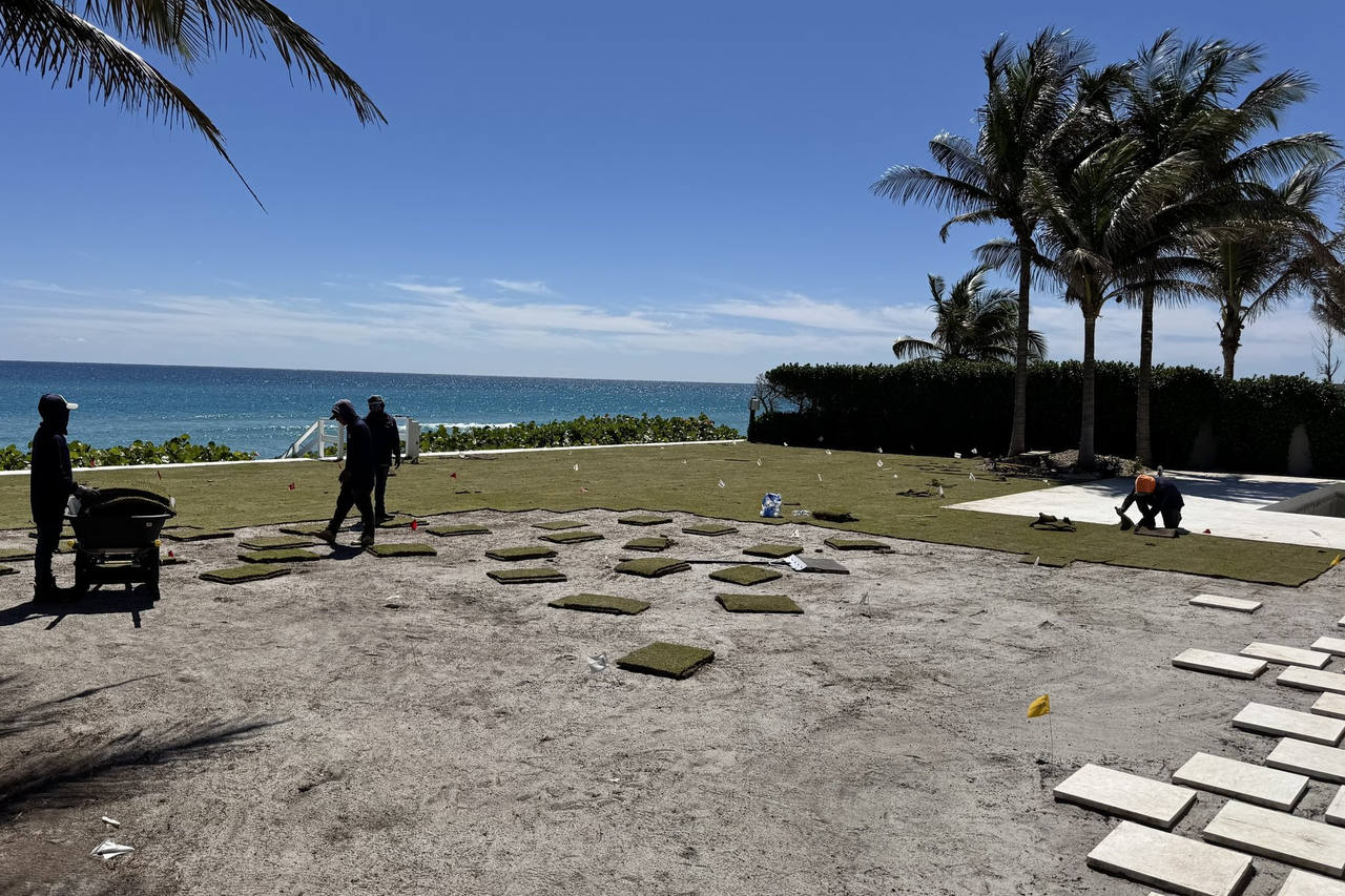 Wide view sod install progress with palms